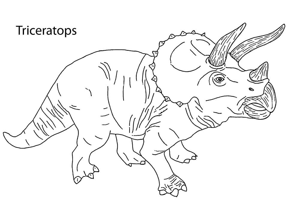 Desenho deTriceratops 3 para colorir