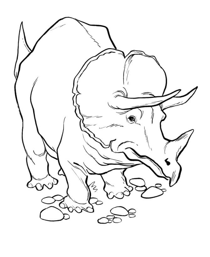 Desenho deTriceratops 5 para colorir