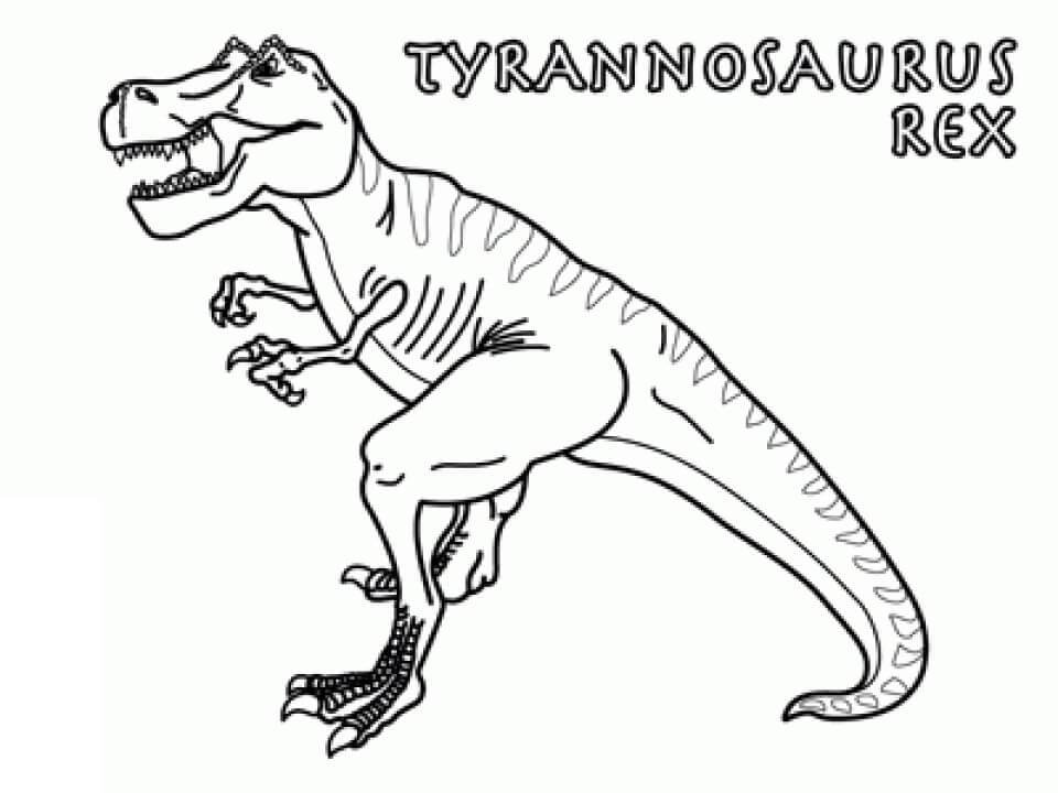 Desenho deTyranossaurus Rex 10 para colorir