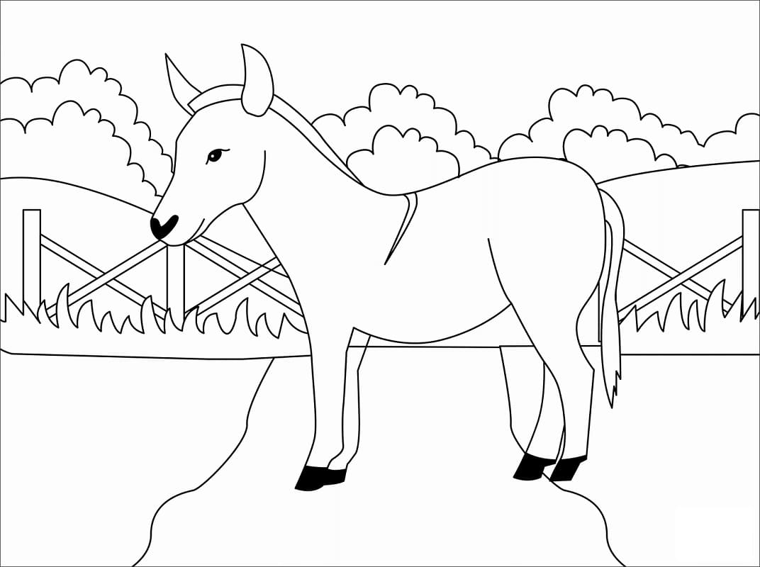 Desenho deUm Burro para colorir