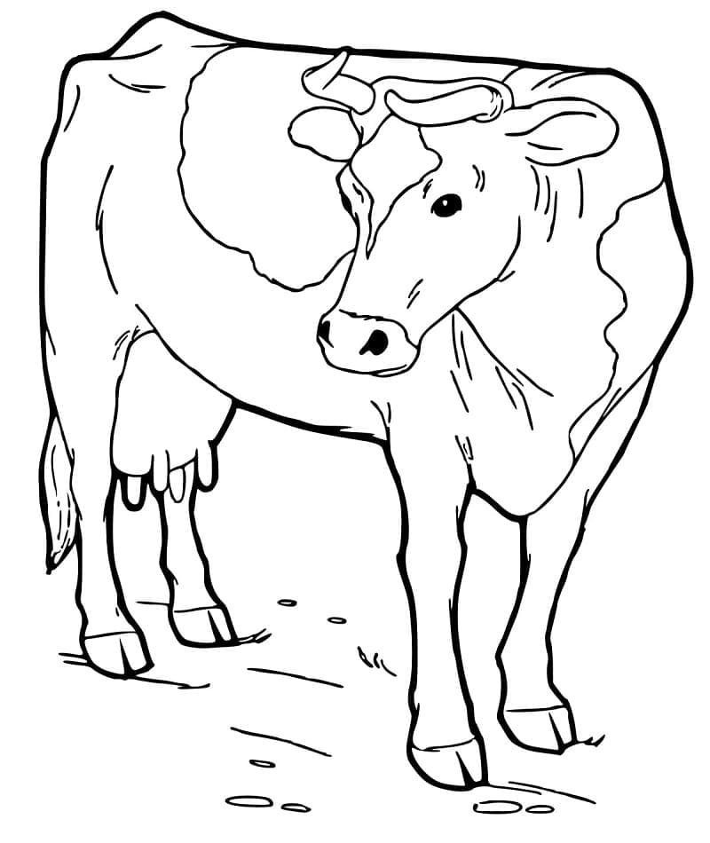 Desenho deUma Vaca para colorir