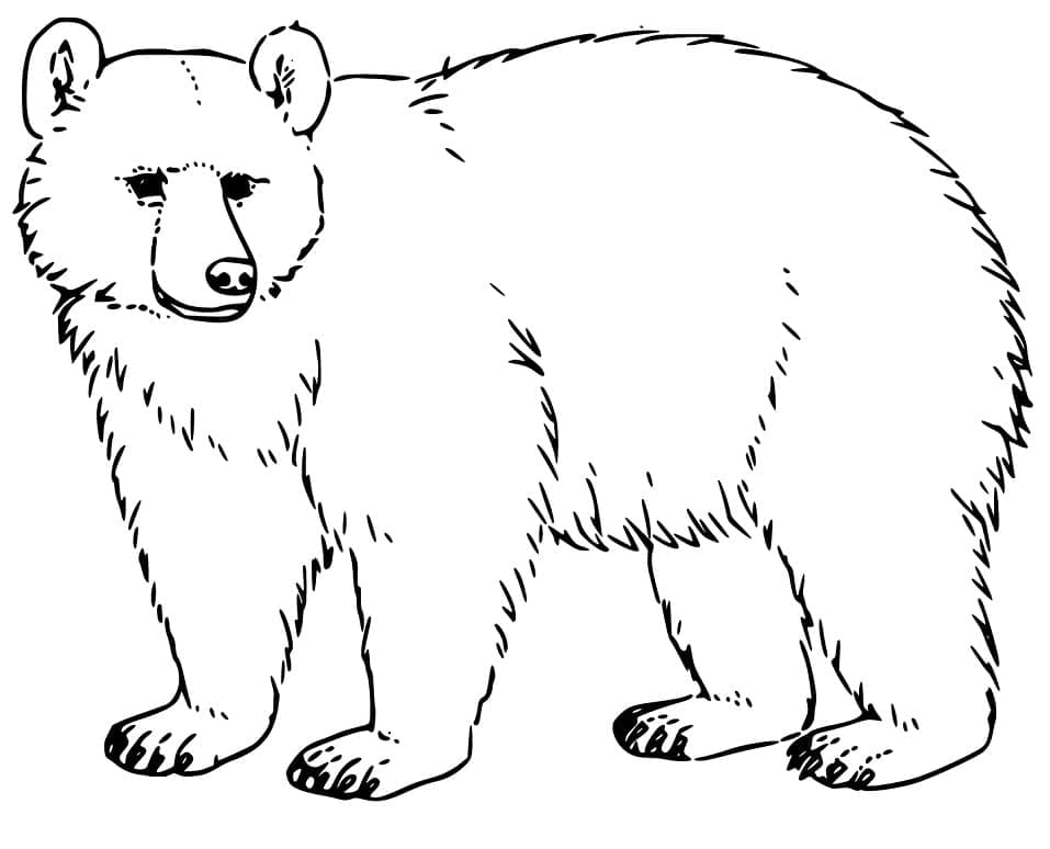 Desenho de Urso Negro 2 para colorir