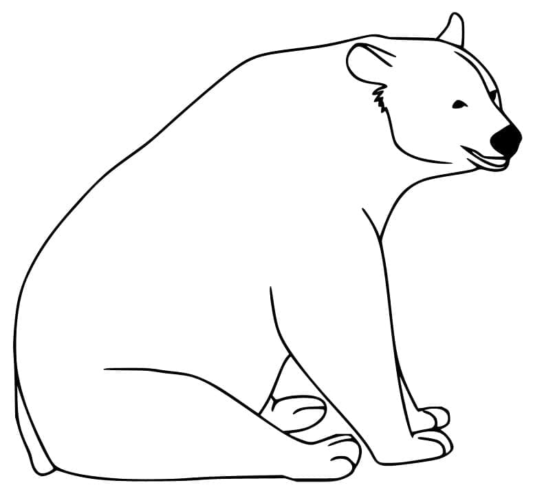 Desenho de Urso Negro Fácil para colorir