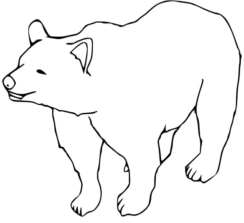 Desenho de Urso Pardo 2 para colorir