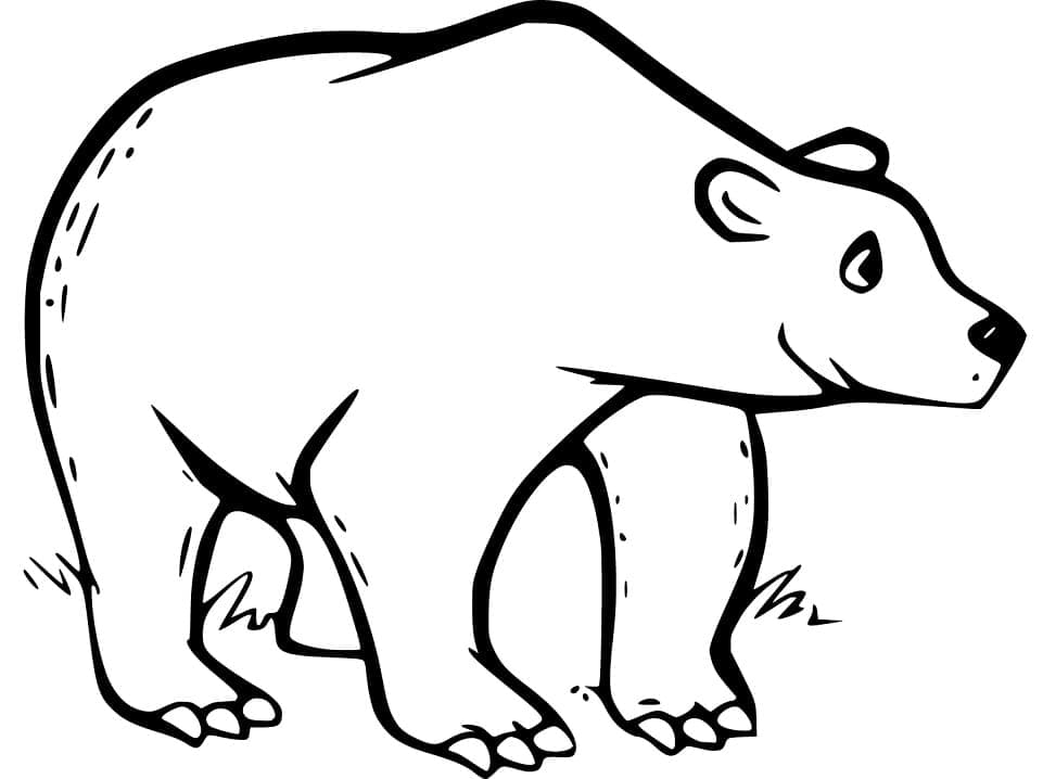 Desenho de Urso Pardo 3 para colorir