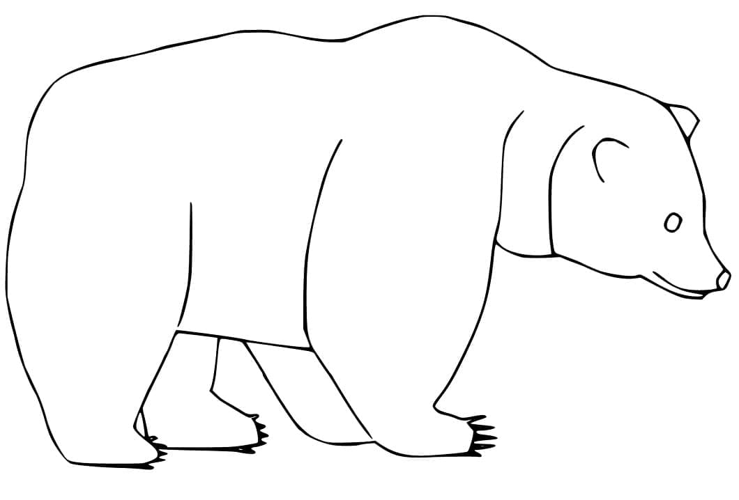 Desenho de Urso Pardo 5 para colorir