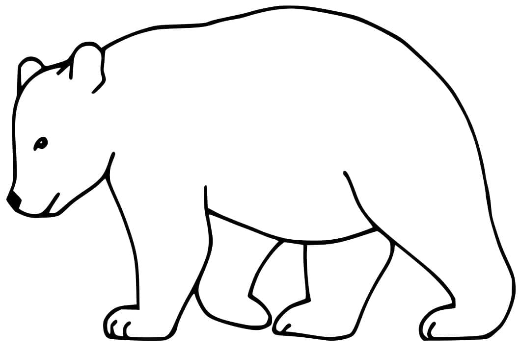 Desenho de Urso Pardo 6 para colorir