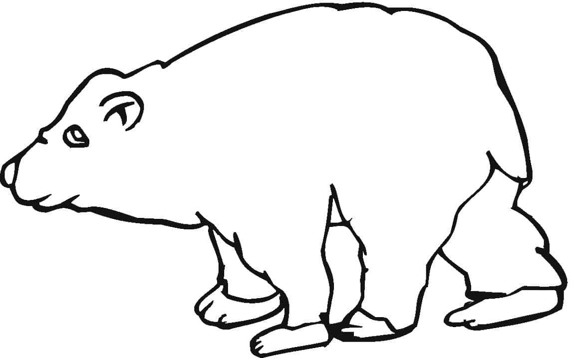 Desenho de Urso Pardo 7 para colorir