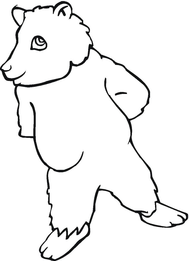 Desenho de Urso Pardo em Pé para colorir