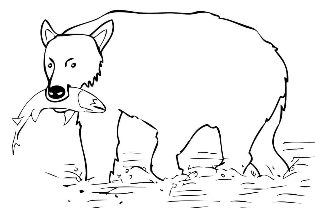 Desenho de Urso Pardo Pegando Peixe para colorir