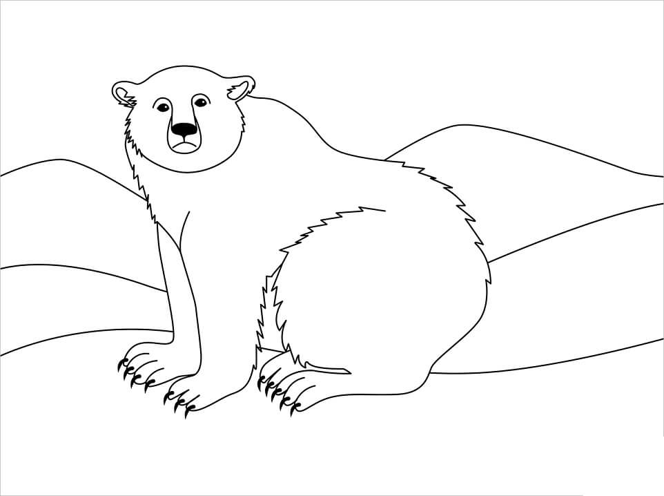 Desenho de Urso Polar Fofo 4 para colorir