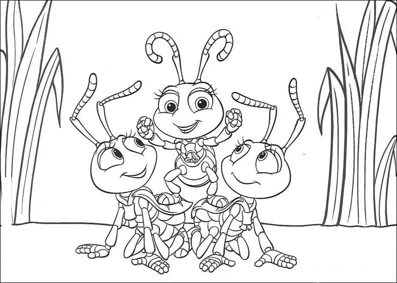 Desenho deVida de Insecto para colorir