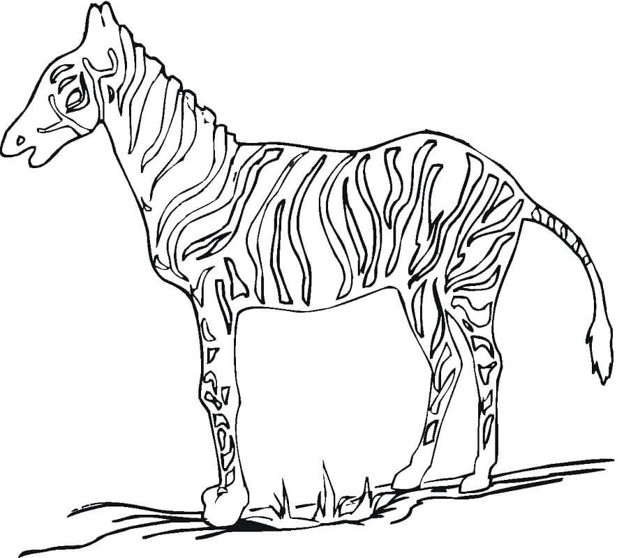 Desenho deZebra Normal 1 para colorir