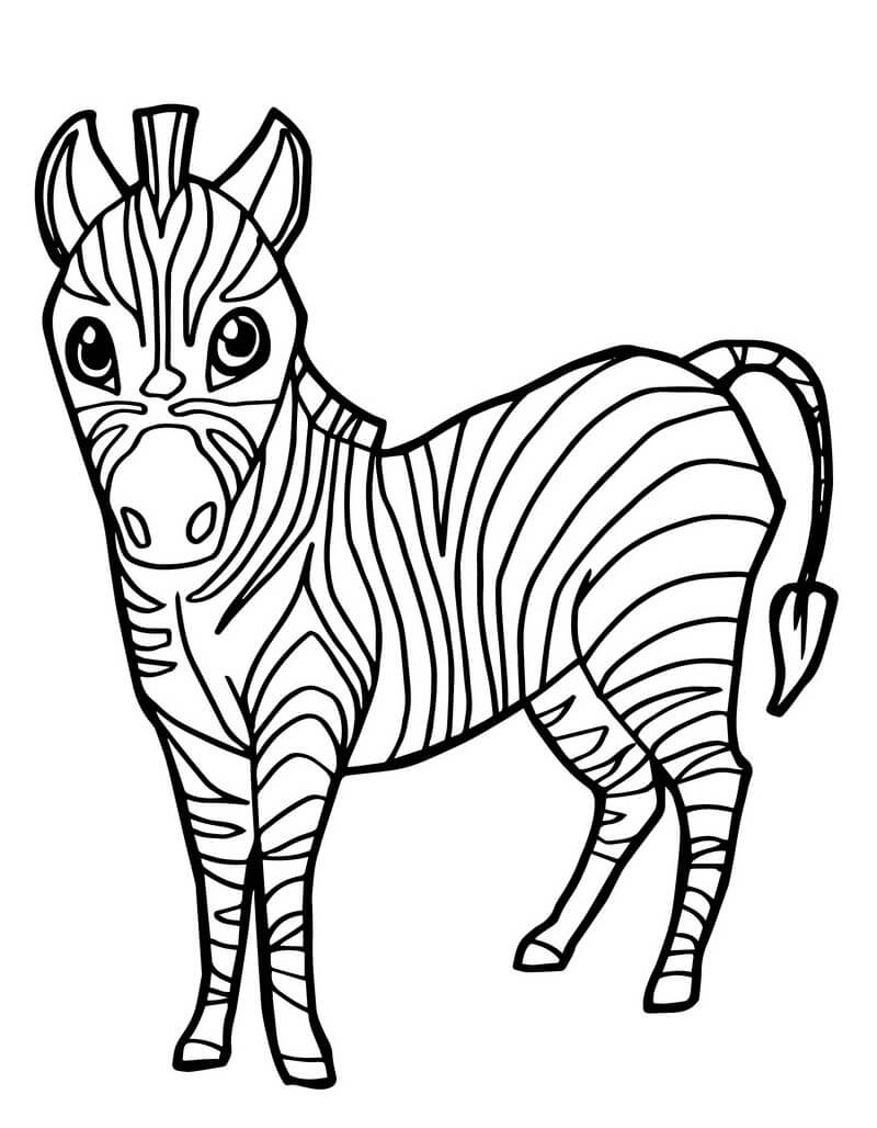 Desenhos de Zebra para colorir