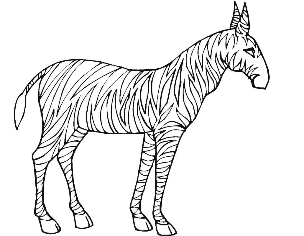 Desenho deZebra Normal 6 para colorir