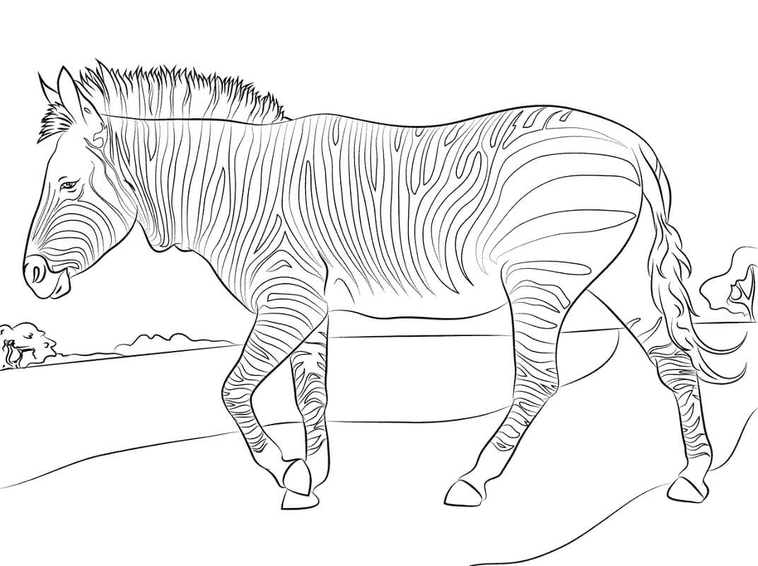 Desenho deZebra Selvagem 1 para colorir