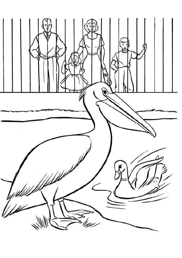 Desenho deZoológico 18 para colorir