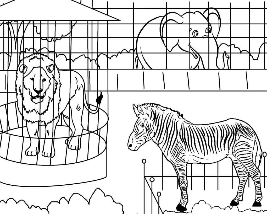 Desenho deZoológico 9 para colorir