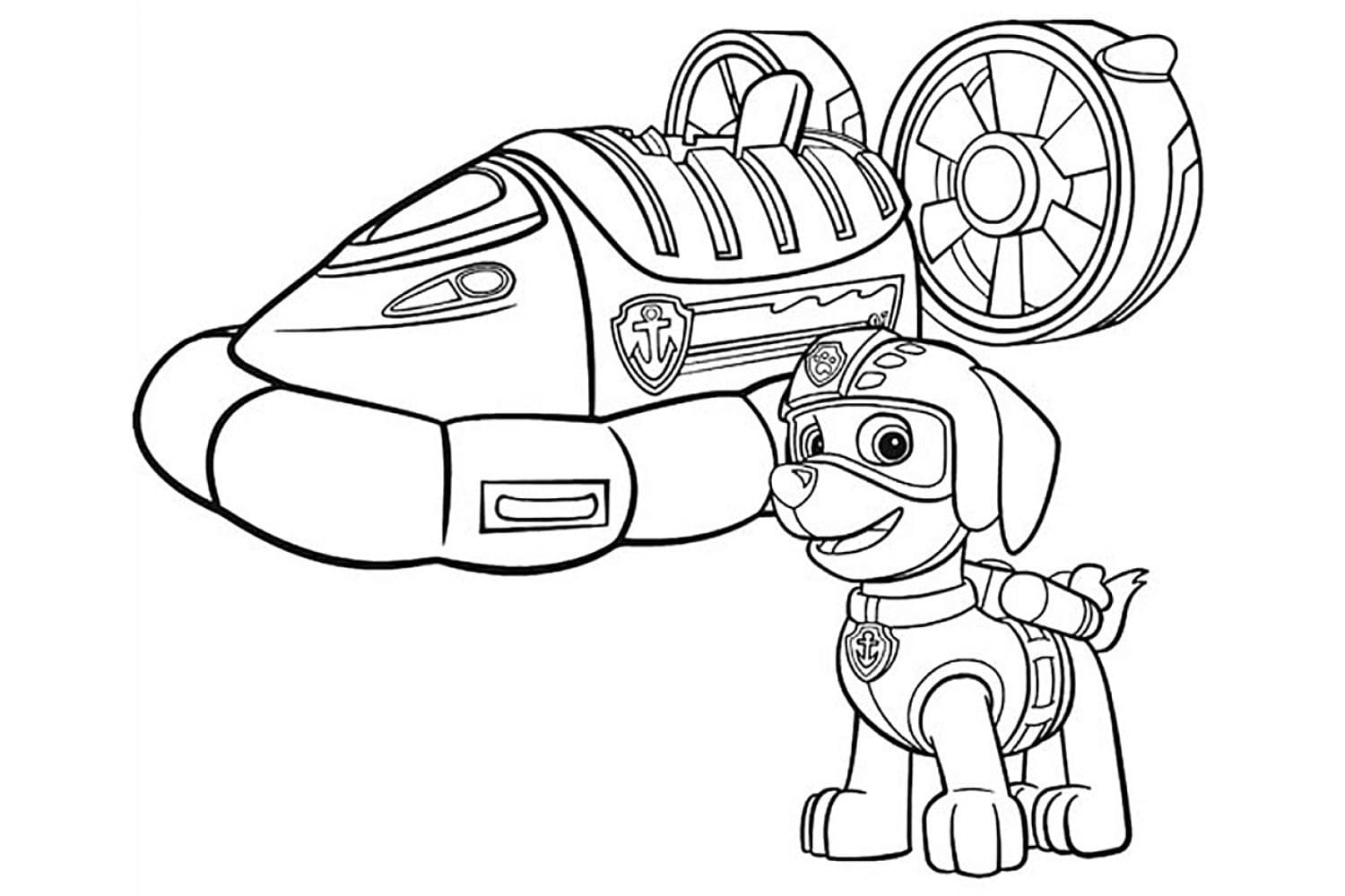 Desenho deZuma de Patrulha Canina para colorir