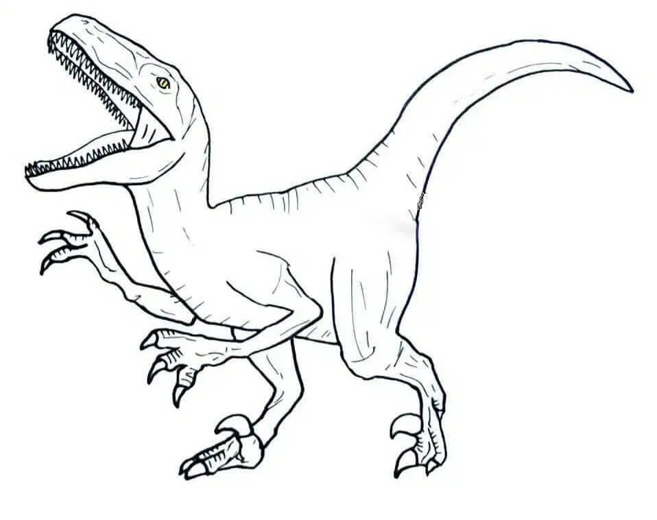 Desenho deVelociraptor Perigoso 2 para colorir