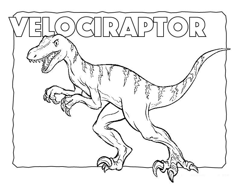 Desenhos de Velociraptor para colorir