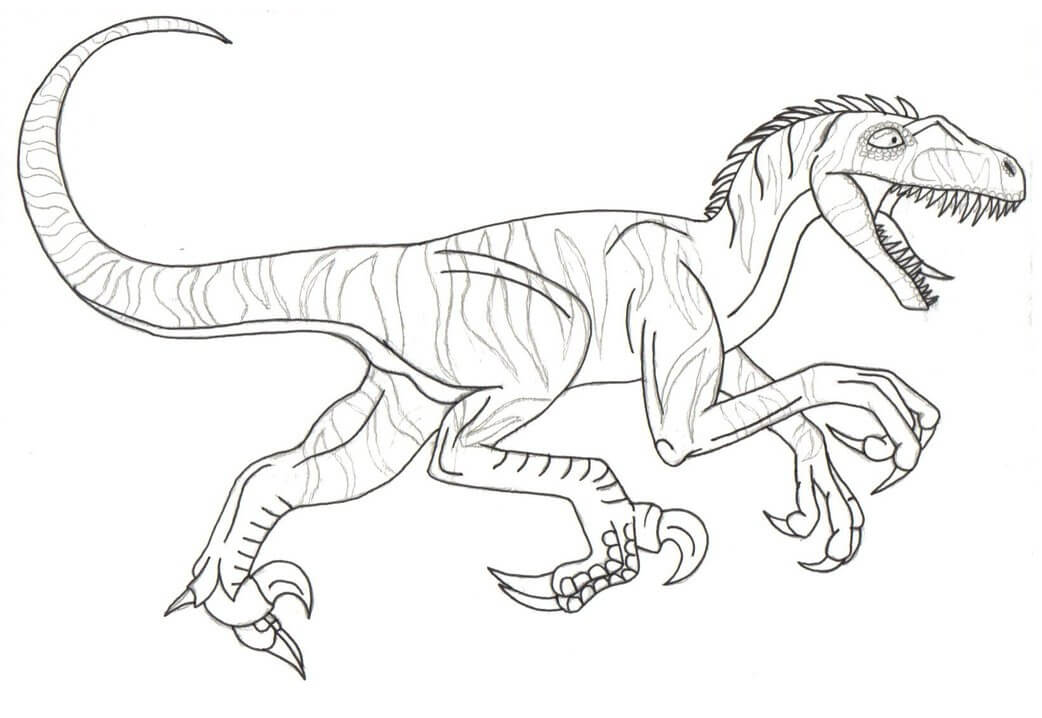 Desenho deVelociraptor Perigoso 4 para colorir