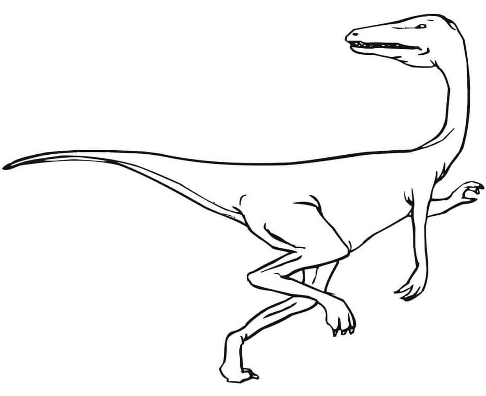 Desenho deVelociraptor Perigoso 6 para colorir