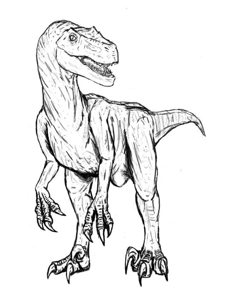 Desenho deVelociraptor Perigoso para colorir